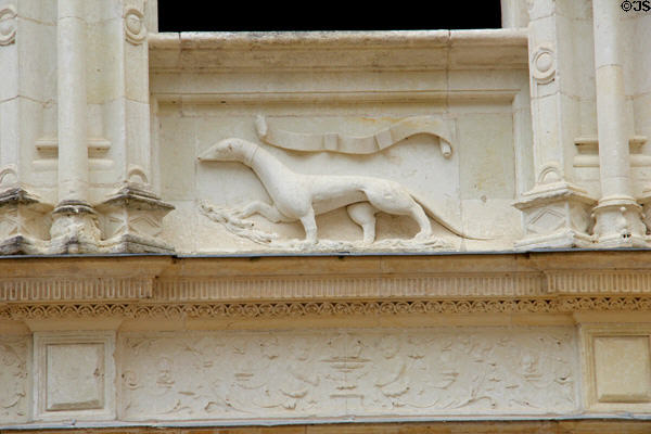 Carving of ermine, representing Claude of France, on Château d'Azay-le-Rideau. Azay-le-Rideau, France.
