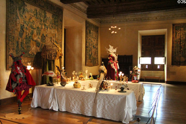 Great Hall at Château d'Azay-le-Rideau. Azay-le-Rideau, France.