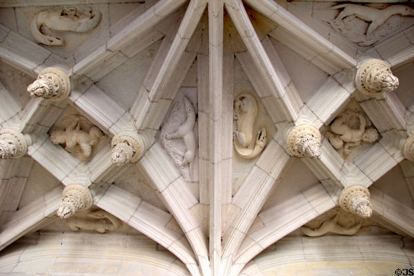 Ceiling vaulting with royal emblems of salamander & ermine in Biencourt Salon at Château d'Azay-le-Rideau. Azay-le-Rideau, France.