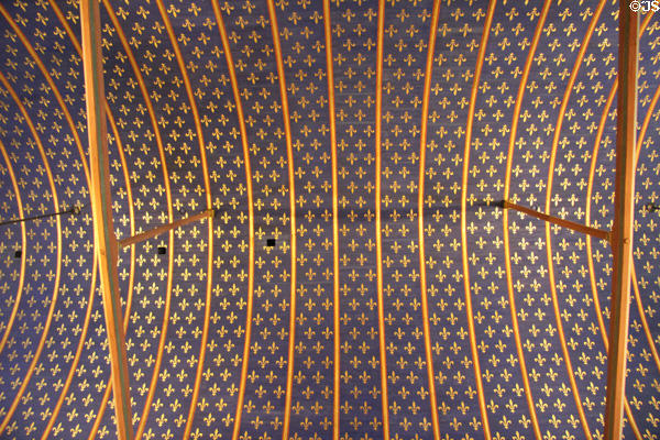 NeoGothic vaulted ceiling decoration (c1866) from restoration by Felix Duban on wooden framework dating from 1214 in Estates General Room at Blois Chateau. Blois, France.