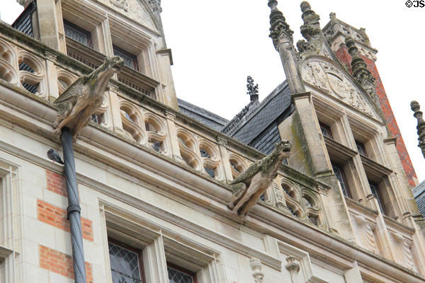 Detail of gargoyles on Alluye town house (1500-8). Blois, France.