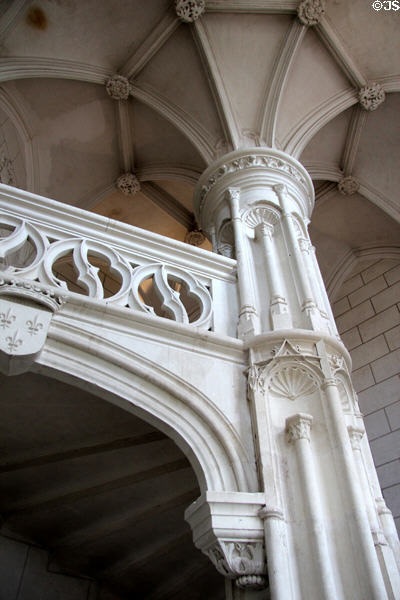 Grand spiral staircase at Chaumont-Sur-Loire. France.