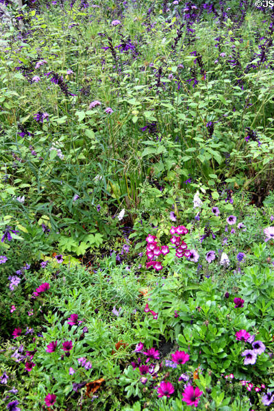 Gardens at Chaumont-Sur-Loire. France.