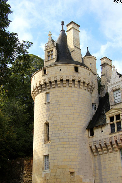 Pepper pot tower of Chateau D'Ussé. Ussé, France.