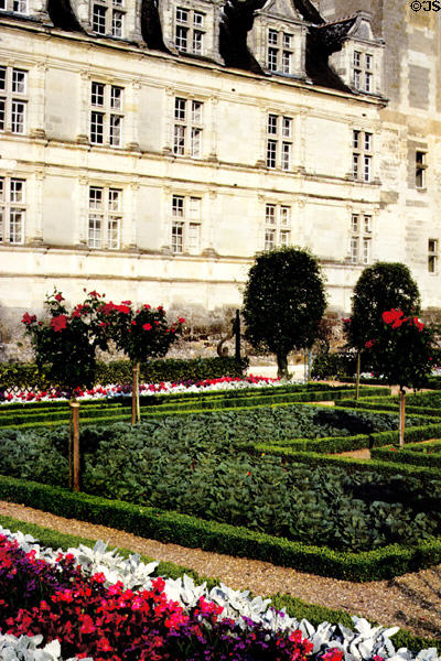 Formal gardens at Villandry Chateau. Villandry, France.