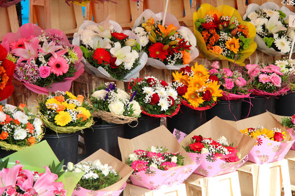 Flower stand on Cours Saleya in Old Nice. Nice, France.