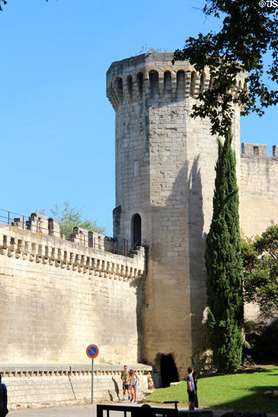 Octagonal tower in Ramparts of Avignon. Avignon, France.