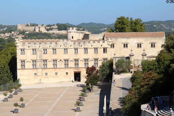 Musée du Petit Palais. Avignon, France.