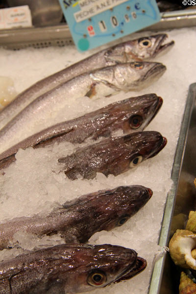 Fish at Nimes market. Nimes, France.