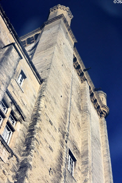 Octagonal tower (14thC) of Ducal Palace. Uzès, France.