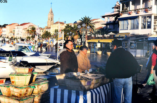 Sanary-sur-Mer market. Sanary-sur-Mer, France.