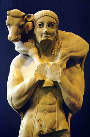 Statue of calf-bearer, Moschophoros (Moschoforus), an offering by Rhombos (Rhombes) dates approximately 570 BC displayed at Acropolis Museum, Athens. Greece.