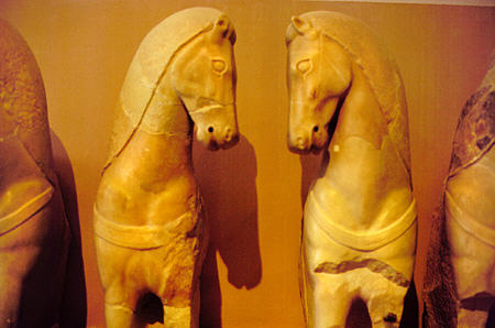 Two of four chariot horses from a votive offering dating approximately 570 BC in Acropolis Museum, Athens. Greece.