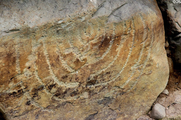 Neolithic carved stone with tree-like design at Knowth. Ireland.