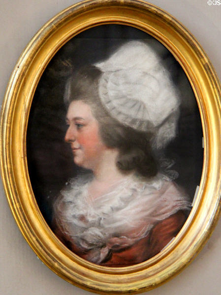 Pastel portrait (18thC) of Conolly family member by Hugh Douglas Hamilton at Castletown House. Ireland.