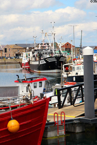 Working boats at Howth harbor. Howth, Ireland.