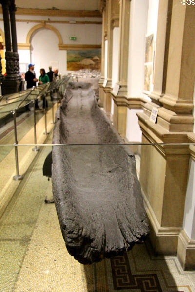 Dugout canoe (2500 BCE) from Addergoole Bog at National Museum of Ireland Archaeology. Dublin, Ireland.