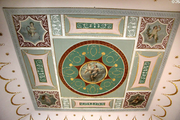 Four seasons room ceiling painting with Demeter being crowned in center attrib. to James 'Athenian' Stuart at Rathfarnham Castle. Dublin, Ireland.