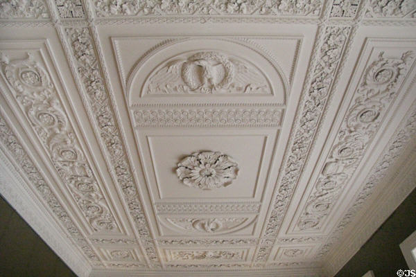 Stuccowork decorated ceiling in dining room at Emo Court. Ireland.