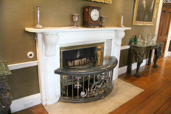 Dining room fireplace at Emo Court. Ireland.