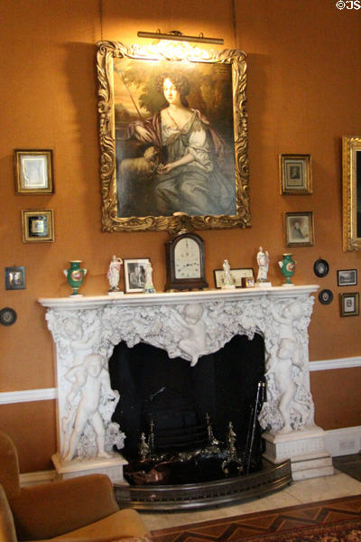 Carved marble fireplace in library at Emo Court. Ireland.
