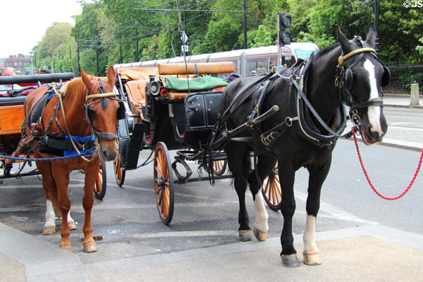 Horse-drawn carriages at St Stephen's Green. Dublin, Ireland.