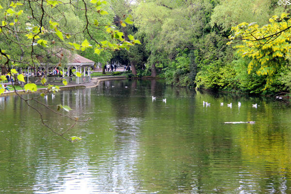 Wildlife pond at St Stephen's Green. Dublin, Ireland.