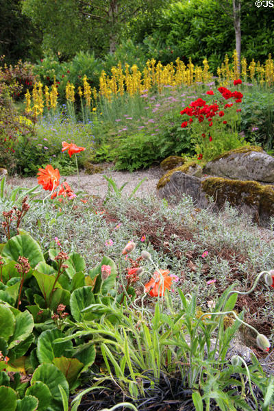Flower bed at St Stephen's Green. Dublin, Ireland.