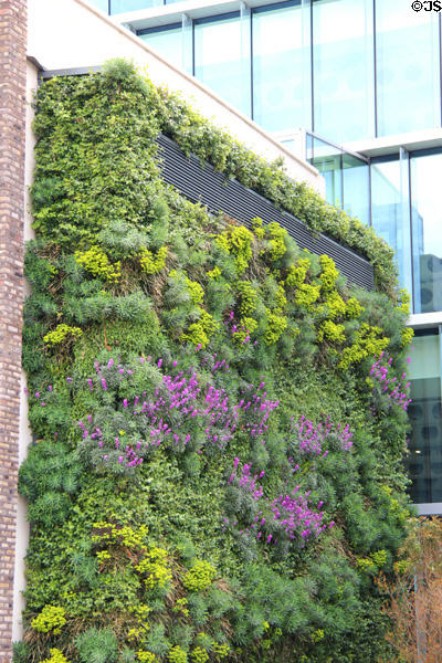 Living green mall on Sir John Rogerson's Quay. Dublin, Ireland.