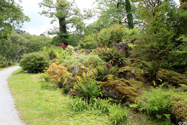 Pathway at Muckross House in Killarney National Park. Killarney, Ireland.