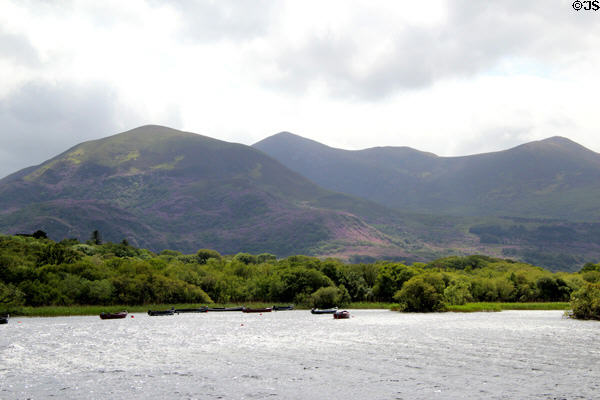 Lough Leane, Ross Castle location, in Killarney National Park, County Kerry. Killarney, Ireland.