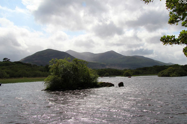 Small forested island, one of many in Lough Leane, Killarney National Park. Killarney, Ireland.