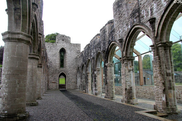 Ruins of church nave at Boyle Abbey. Knocknashee, Ireland.