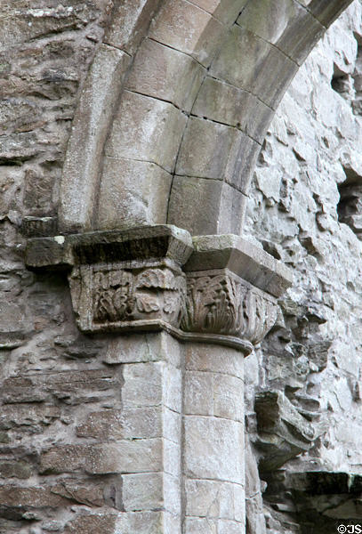 Carvings & arch structure at Boyle Abbey. Knocknashee, Ireland.