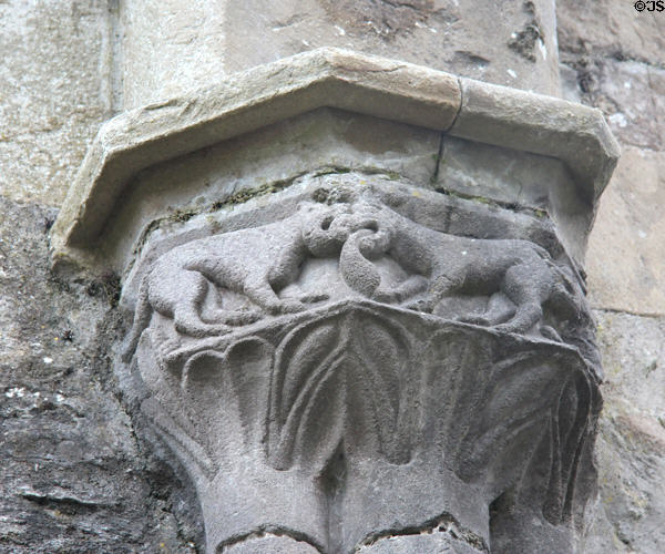 Carved nave corbel with three dogs or cats fighting at Boyle Abbey. Knocknashee, Ireland.