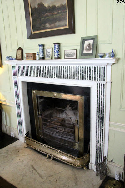 Library fireplace at Strokestown Park. Vesnoy, Ireland.