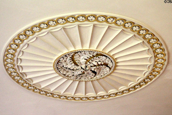 Sitting room ceiling decoration at Strokestown Park. Vesnoy, Ireland.
