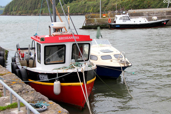 Harbor at Ballyhack. Ireland.