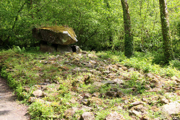 Replica of Megalithic portal tomb at Irish National Heritage Park. Ireland.