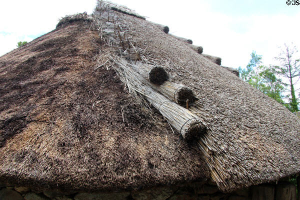 Thatching process atop Ringfort building at Irish National Heritage Park. Ireland.