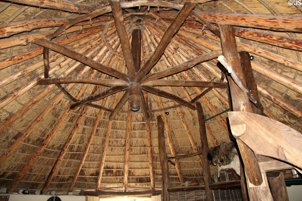 Interior beams supporting replica Crannog thatch at Irish National Heritage Park. Ireland.