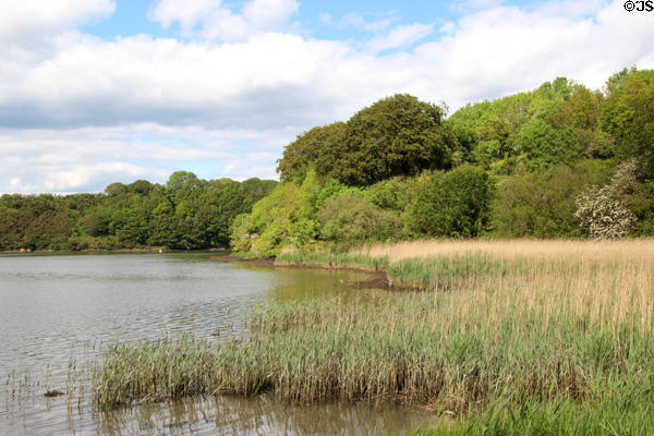 Landscape at Irish National Heritage Park. Ireland.
