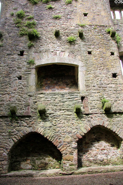 Ruin missing floors with embedded niches, fireplace & corbels at Tintern Abbey. Ireland.