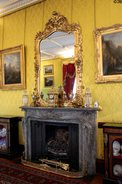Parlor library at Kilkenny Castle. Ireland.
