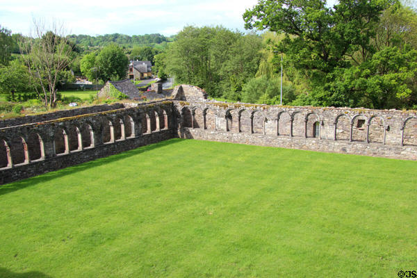 Cloister at Jerpoint Abbey. Ireland.