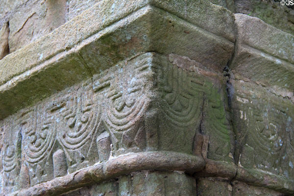 Carved stone border at Jerpoint Abbey. Ireland.