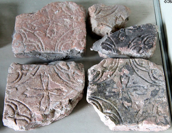 Molded floor tiles at Jerpoint Abbey. Ireland.