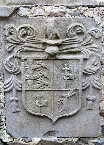 Carved coat of arms in cathedral at Rock of Cashel. Cashel, Ireland.