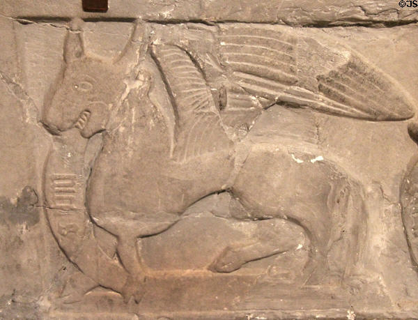 Detail of medieval tomb plaque carved with winged bull symbol of Evangelist St Luke at Rock of Cashel. Cashel, Ireland.