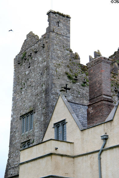 Roofline at Ormond Castle. Carrick-on-Suir, Ireland.